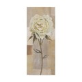 Trademark Fine Art Lisa Audit 'White Flower II' Canvas Art, 20x47 ALI31533-C2047GG